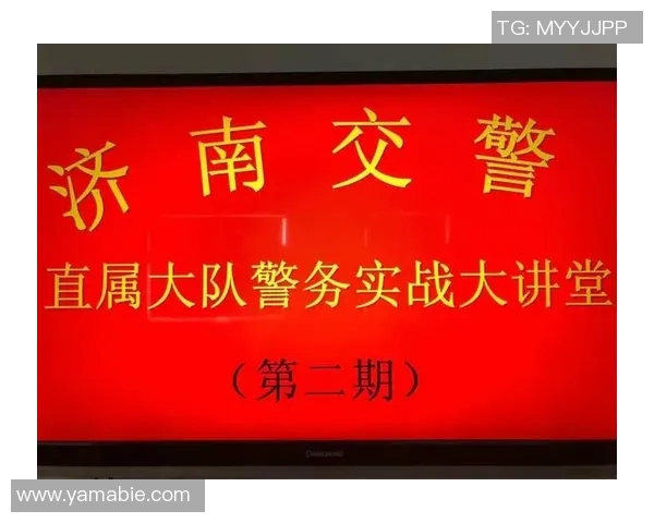 深入探讨杭州乒乓球队战术表现的数据分析与启示