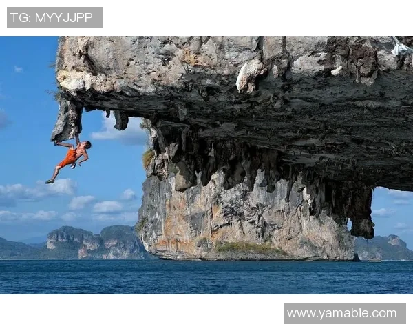 西安极限运动队团队协作的独特优势与挑战全面解析实时数据