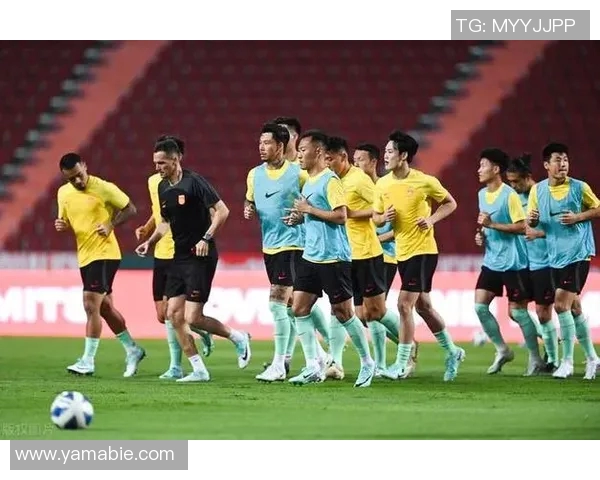 运动最新数据北京排球队以62分领跑大满贯积分榜展现强劲实力