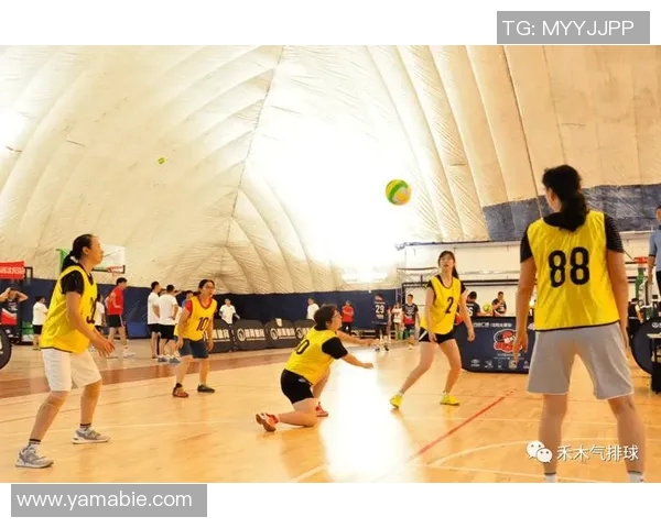 运动最新数据排球新手必看灵活性训练技巧与入门指南助你快速提升球技